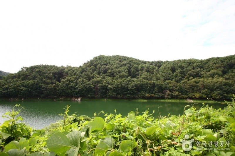 清风湖樱花节 (1/3)
