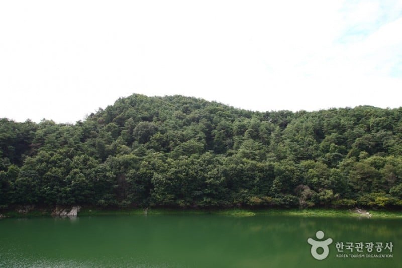 清风湖樱花节 (3/3)