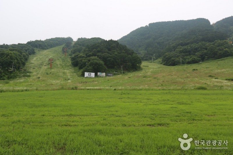 Eagle Valley滑雪度假村雪橇场 (1/4)