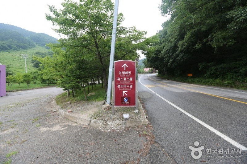 Eagle Valley滑雪度假村雪橇场 (3/4)