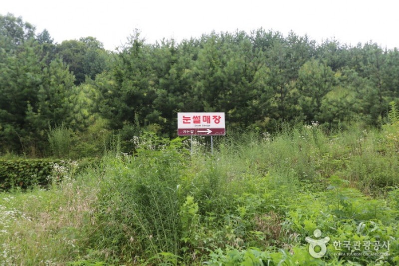 Eagle Valley滑雪度假村雪橇场 (4/4)