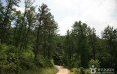 俗离山马踢岭自然休养林