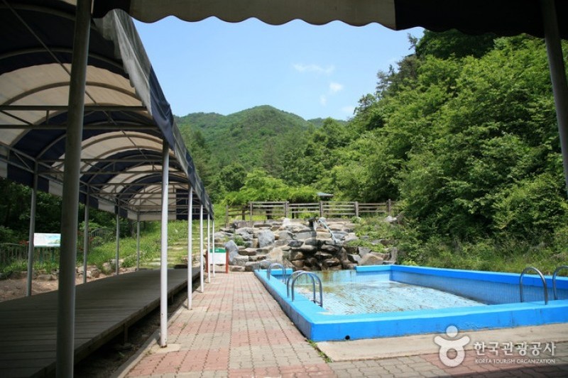 俗离山马踢岭自然休养林 (8/11)