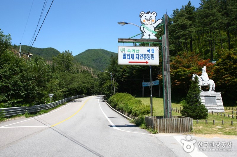 俗离山马踢岭自然休养林 (10/11)