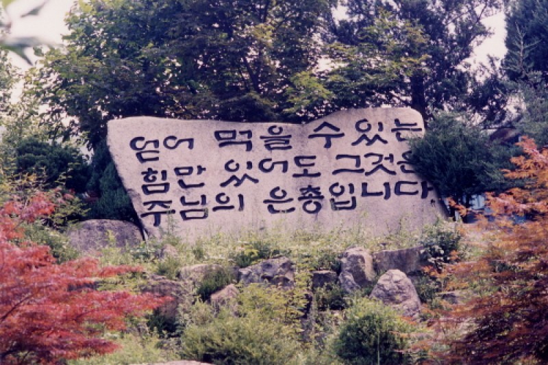 花村