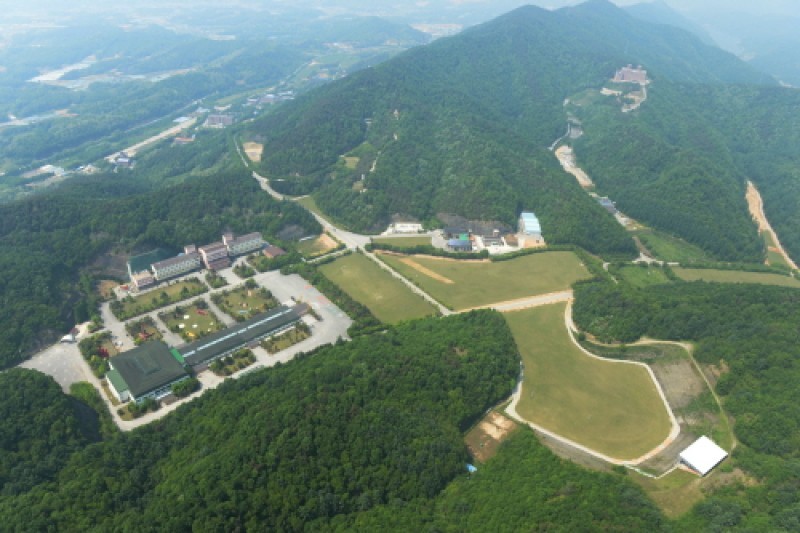 花村