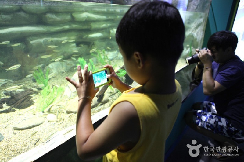 丹阳Danuri水族馆