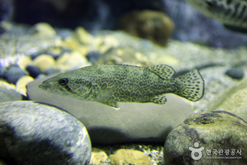 丹阳Danuri水族馆