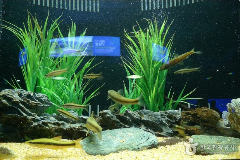 丹阳Danuri水族馆