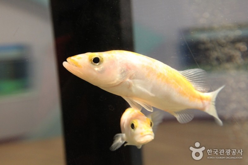 丹阳Danuri水族馆