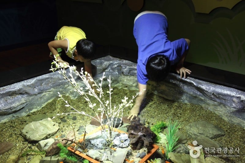 丹阳Danuri水族馆