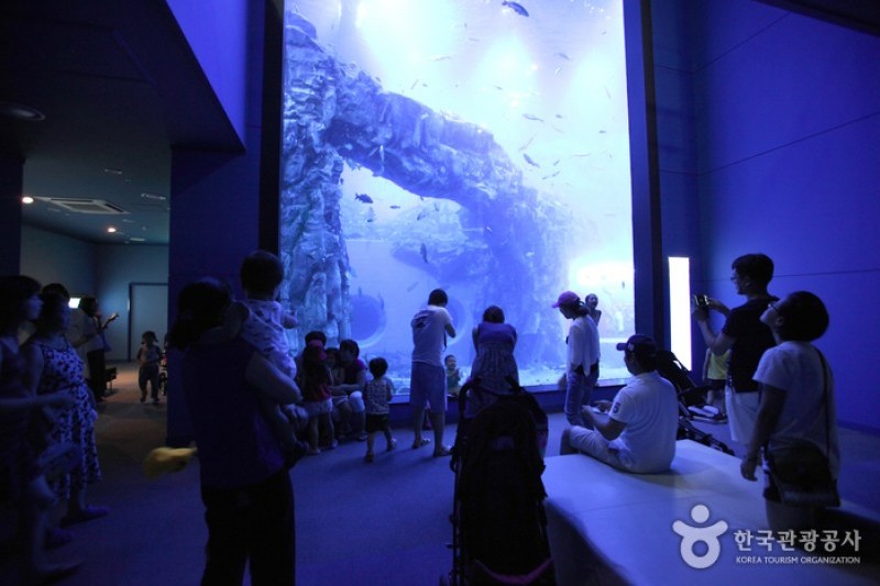 丹阳Danuri水族馆
