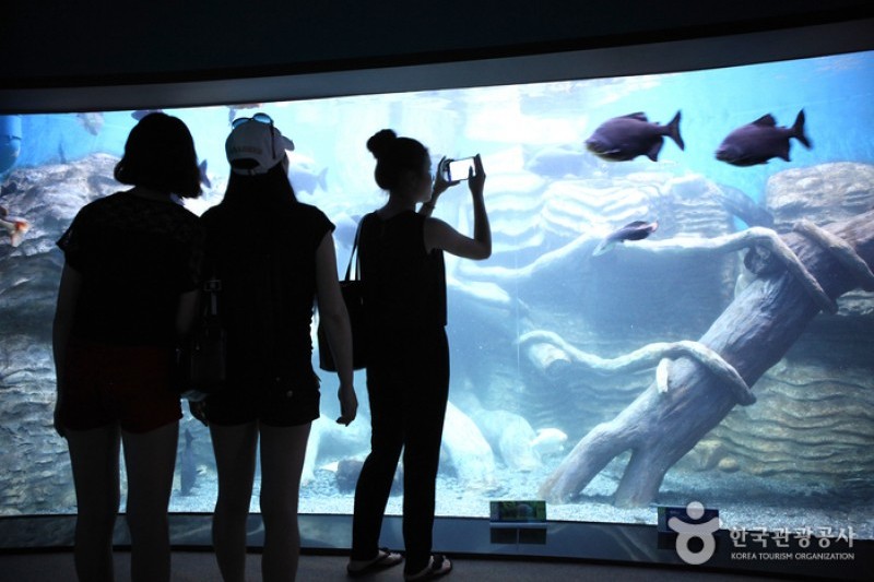 丹阳Danuri水族馆