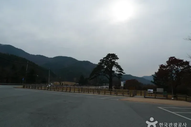 报恩俗离正二品松