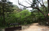 俗离山观光特区