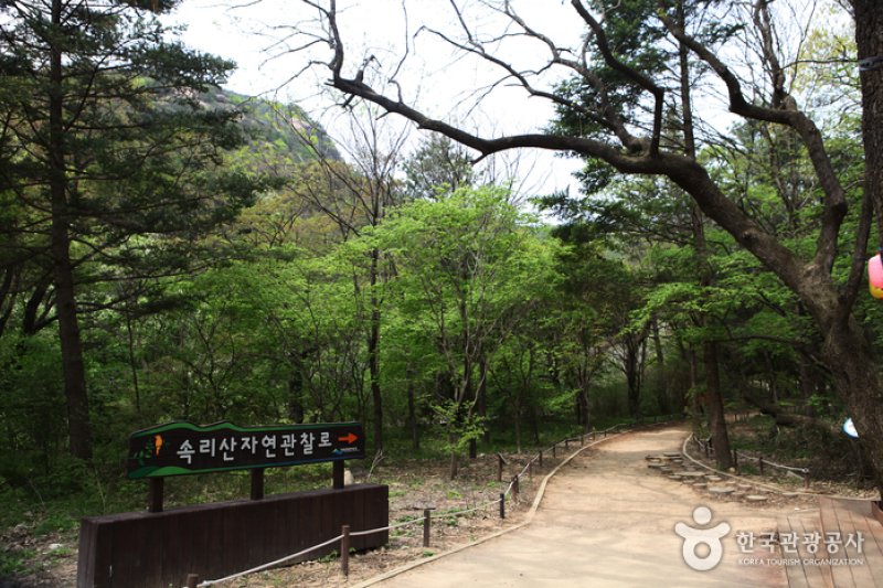 俗离山观光特区 (1/8)