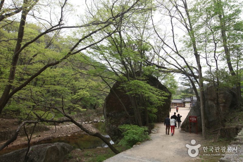 俗离山观光特区 (7/8)