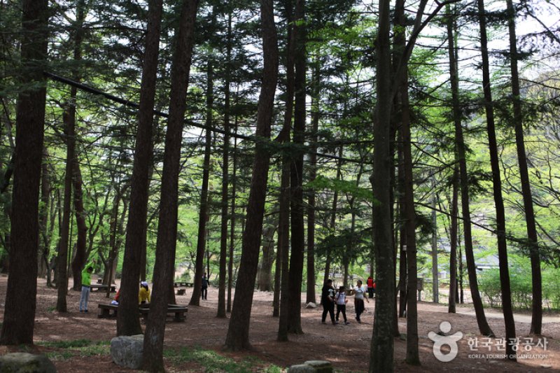 俗离山观光特区 (8/8)