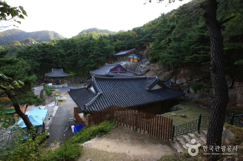 龙巖寺沃川 (4/8)