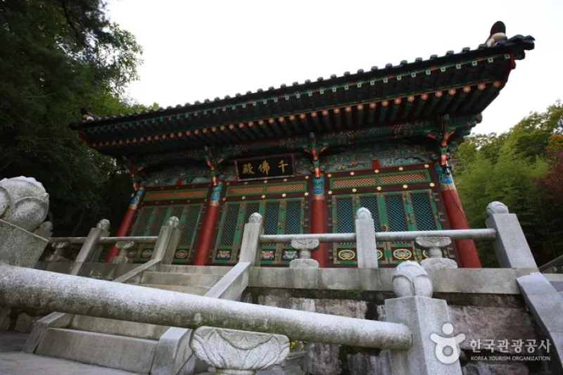龙巖寺沃川 (5/8)