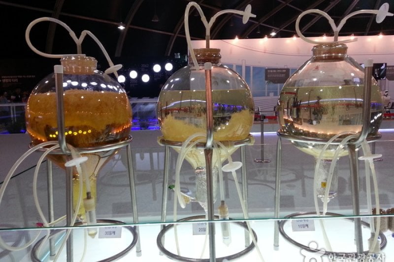五松国际生物科技产业博览会 (21/27)
