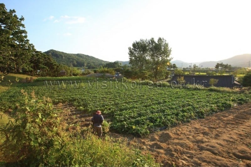 外岩里民俗村