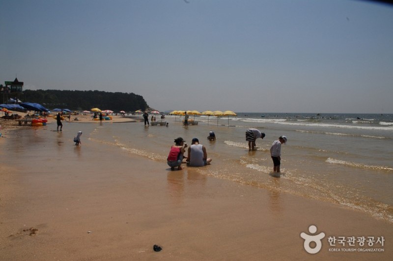 大川海水浴场