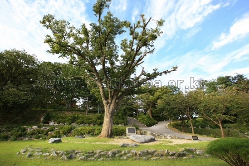 牙山贡税里圣堂 (19/23)