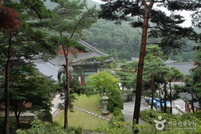 觉愿寺