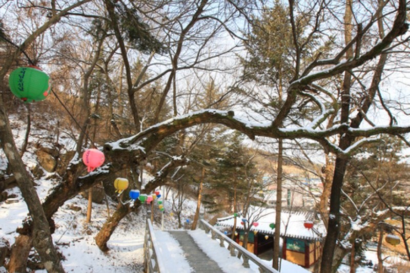 灌烛寺