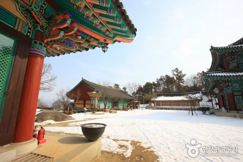 灌烛寺
