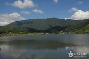 乌栖山