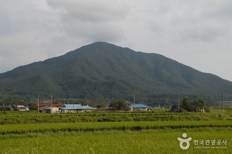 乌栖山