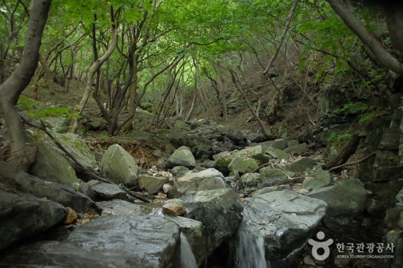乌栖山