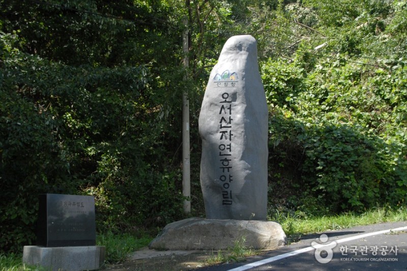乌栖山自然休养林