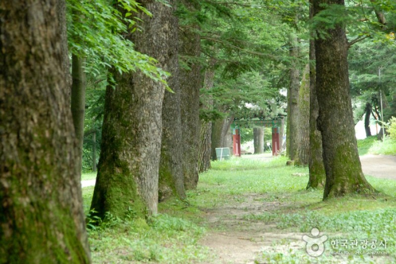 宝石寺보석사 (5/21)