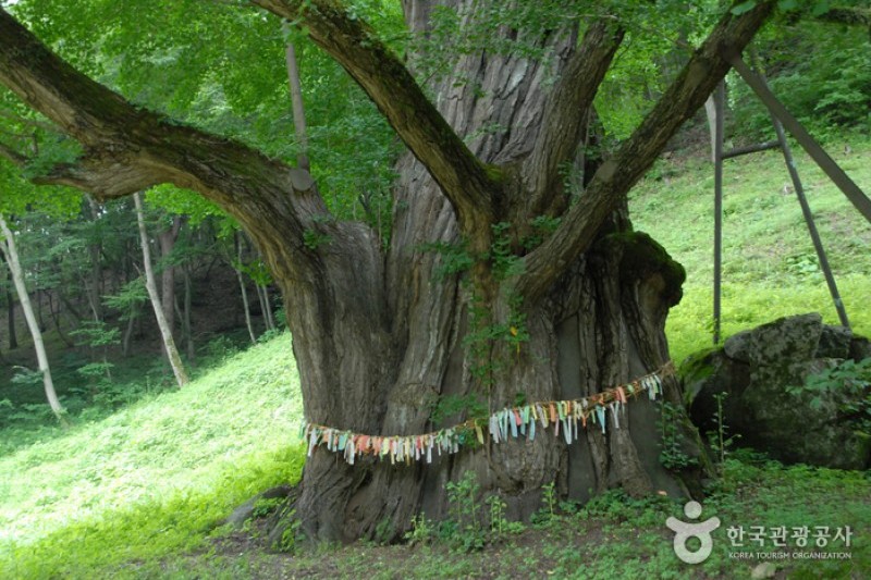 宝石寺보석사 (7/21)