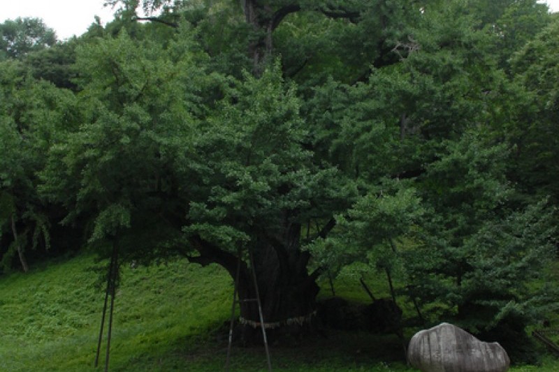 宝石寺보석사 (9/21)