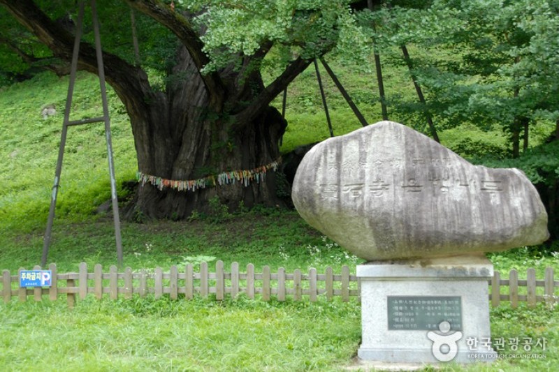 宝石寺보석사 (11/21)