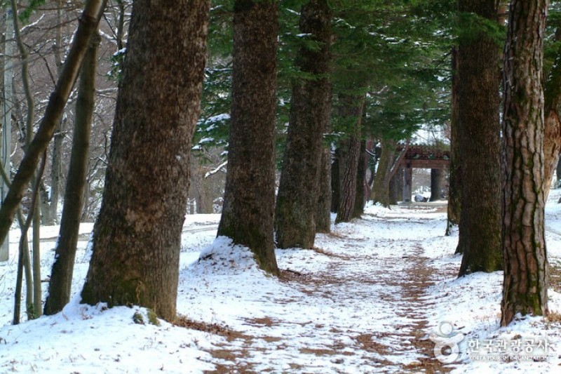 宝石寺보석사 (20/21)