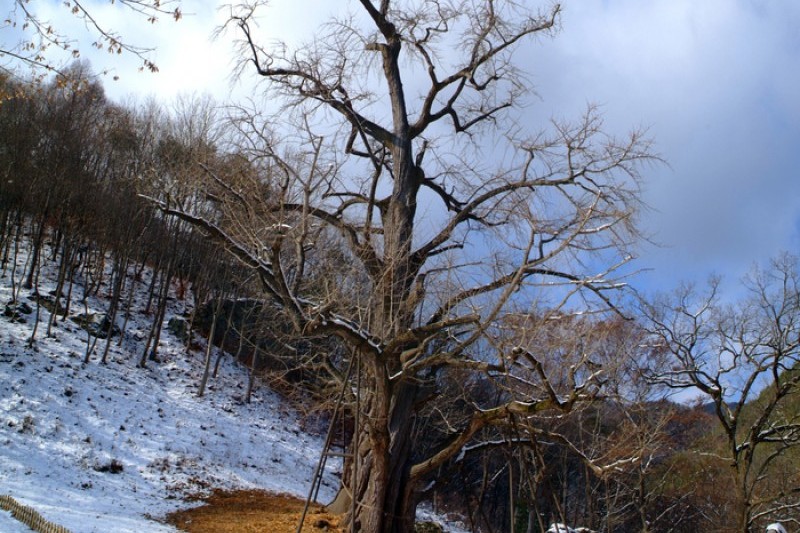 宝石寺보석사 (21/21)