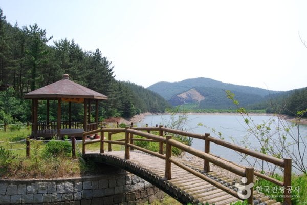 国立希里山海松自然休养林