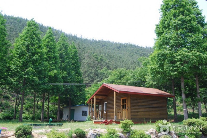国立希里山海松自然休养林