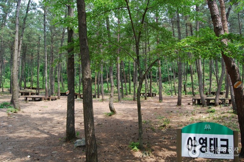 国立希里山海松自然休养林