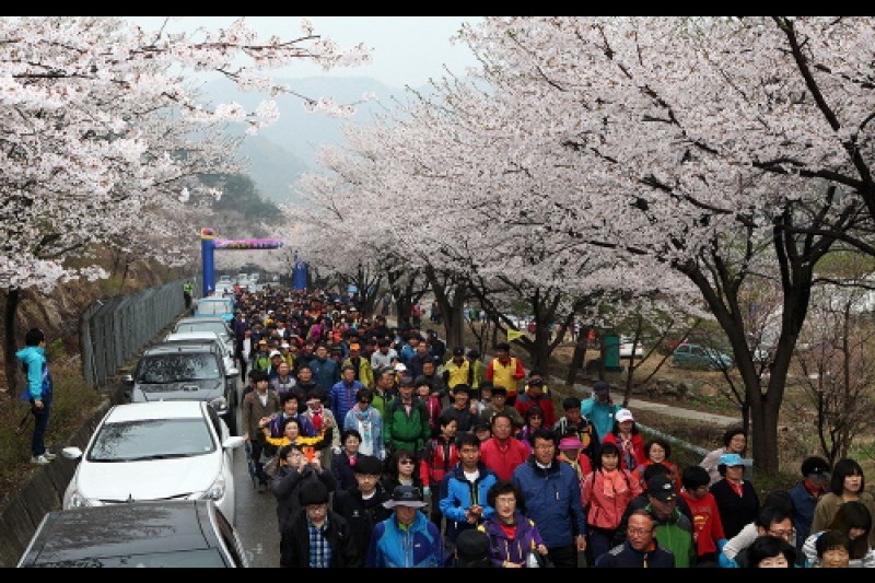绸缎村山花庆典