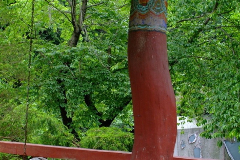 开心寺 (3/4)