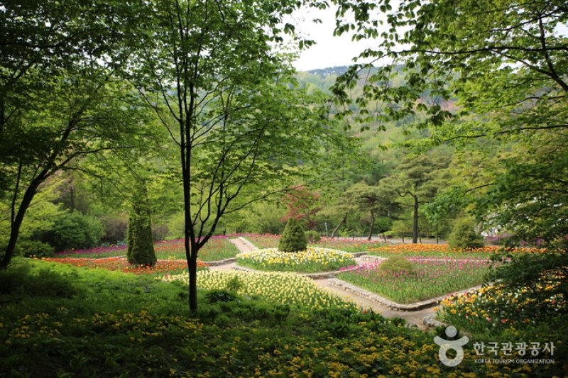 Kohwun植物园