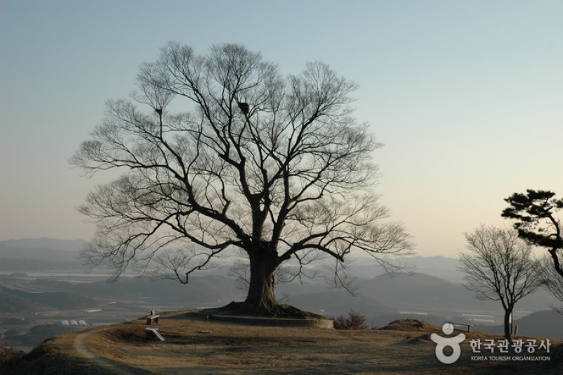 扶余圣兴山城