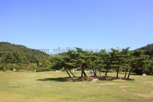 神井湖旅游区