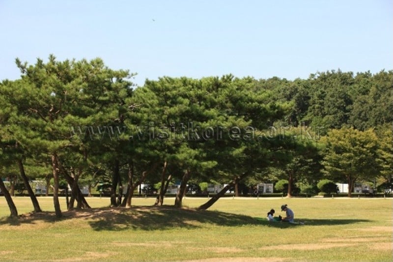 神井湖旅游区